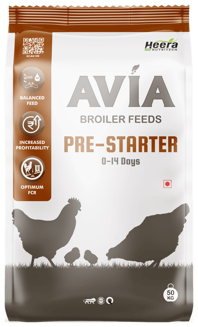 AVIA Pre-Starter