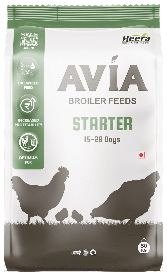 AVIA Starter