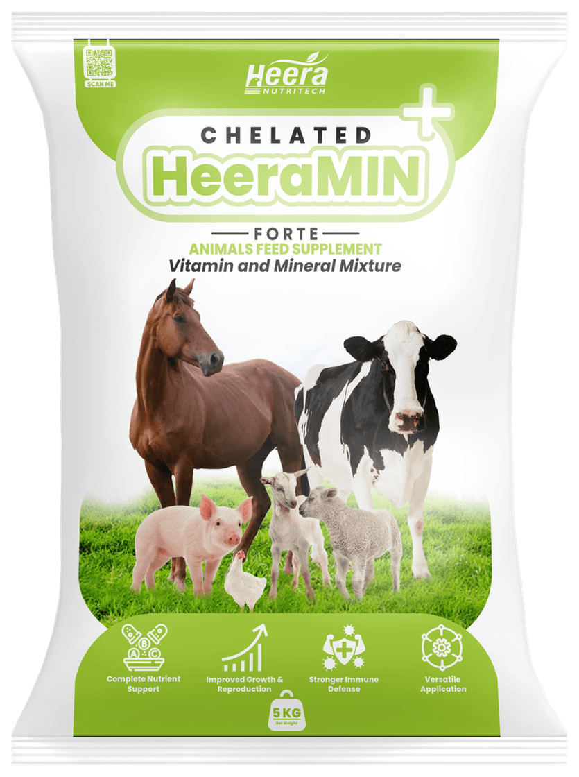 Chelated HeeraMIN Forte