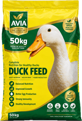 AVIA Duck Starter