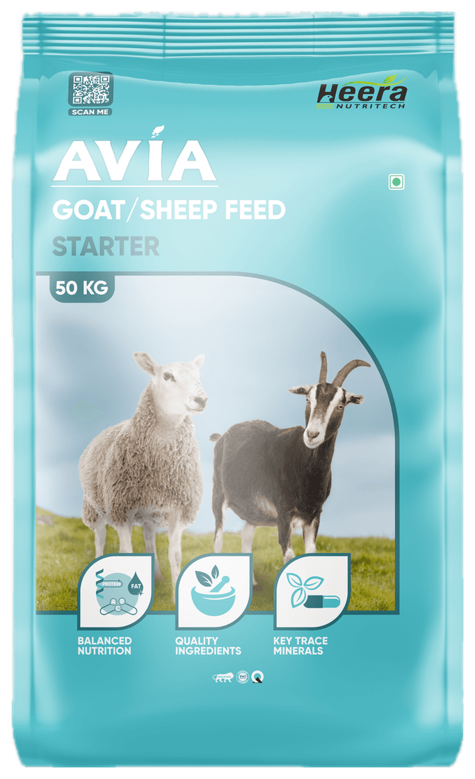 AVIA Goat Feed Starter